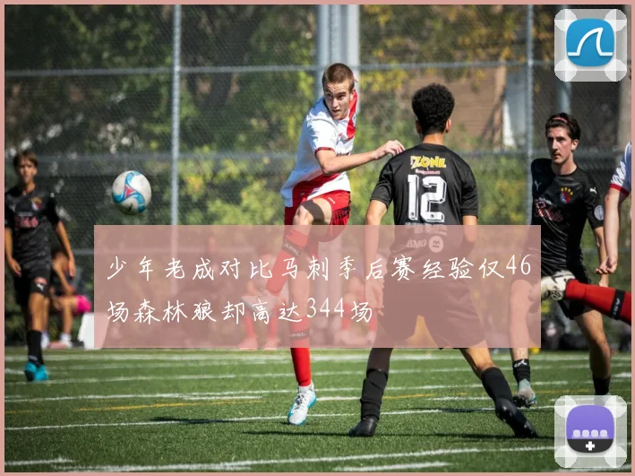 少年老成对比马刺季后赛经验仅46场森林狼却高达344场